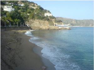 منظر من شاطئ 