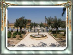 صورة من وسط المدينة