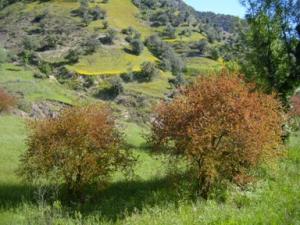 منظر طبيعي لبلدية دراع قبيلة