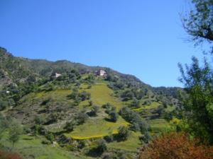 منظر طبيعي لبلدية دراع قبيلة (1)