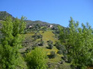 منظر طبيعي بضواحي بلدية دراع قبيلة (5)