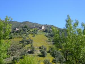 منظر طبيعي بضواحي بلدية دراع قبيلة (6)