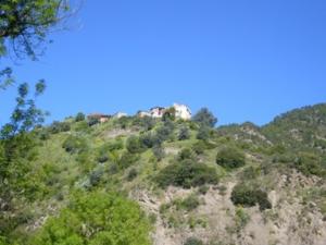 منظر طبيعي بضواحي بلدية دراع قبيلة (7)