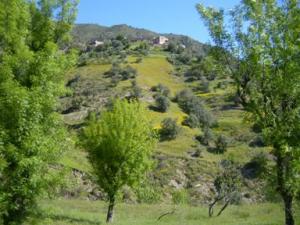 منظر طبيعي بضواحي بلدية دراع قبيلة (9)