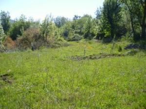 منظر طبيعي بضواحي بلدية دراع قبيلة (10)