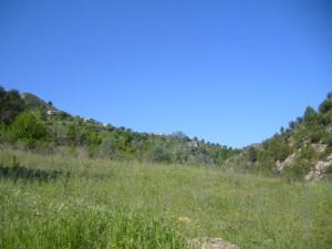 منظر طبيعي بضواحي بلدية دراع قبيلة (12)