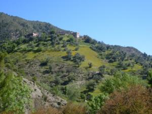 منظر طبيعي بضواحي بلدية دراع قبيلة (15)