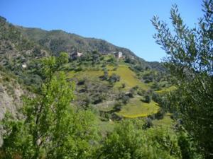 منظر طبيعي بضواحي بلدية دراع قبيلة (16)