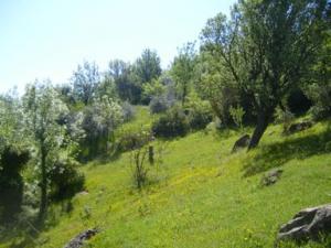 منظر طبيعي بضواحي بلدية دراع قبيلة 3