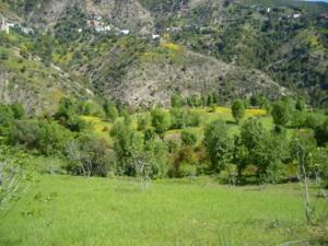 منظر طبيعي بضواحي بلدية دراع قبيلة 7