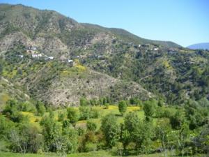 منظر طبيعي بضواحي بلدية دراع قبيلة 8