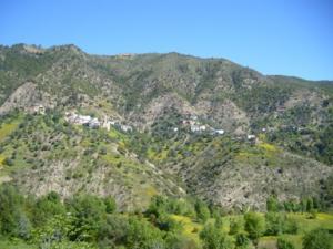 منظر طبيعي بضواحي بلدية دراع قبيلة 10