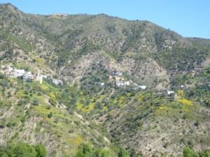 منظر طبيعي بضواحي بلدية دراع قبيلة 11