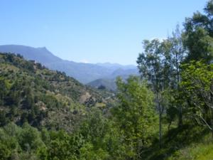 منظر طبيعي بضواحي بلدية دراع قبيلة 13