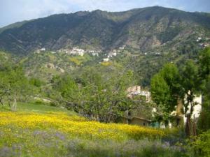 منظر طبيعي بضواحي بلدية دراع قبيلة 14