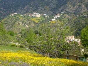 منظر طبيعي بضواحي بلدية دراع قبيلة 15