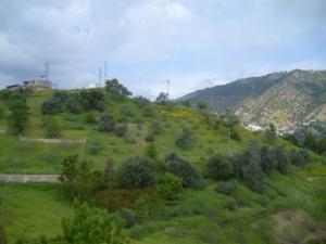 منظر طبيعي بضواحي بلدية دراع قبيلة 24