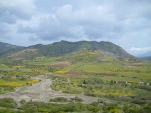 منظر طبيعي بضواحي بلدية دراع قبيلة 31