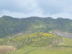 منظر طبيعي بضواحي بلدية دراع قبيلة 33