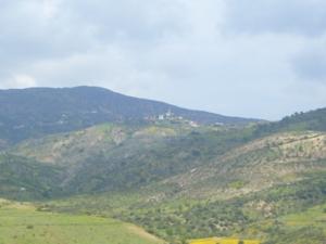 منظر طبيعي بضواحي بلدية دراع قبيلة1