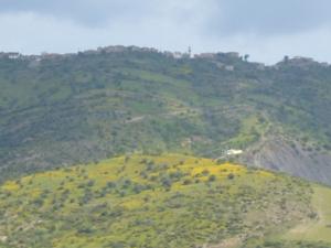 منظر طبيعي بضواحي بلدية دراع قبيلة2