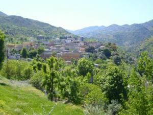 منظر طبيعي بضواحي بلدية دراع قبيلة6