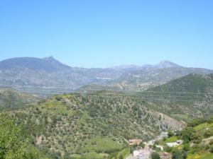 منظر طبيعي بضواحي بلدية دراع قبيلة9