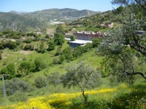 منظر طبيعي بضواحي بلدية دراع قبيلة10