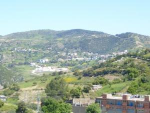 منظر طبيعي بضواحي بلدية دراع قبيلة11