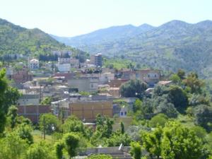 منظر طبيعي بضواحي بلدية دراع قبيلة12