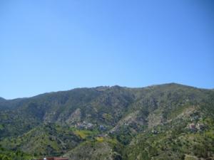 منظر طبيعي بضواحي بلدية دراع قبيلة14