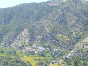 منظر طبيعي بضواحي بلدية دراع قبيلة15