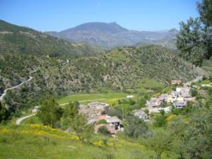 منظر طبيعي بضواحي بلدية دراع قبيلة19