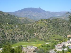 منظر طبيعي بضواحي بلدية دراع قبيلة20