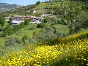 منظر طبيعي بضواحي بلدية دراع قبيلة22