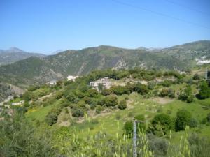 منظر طبيعي بضواحي بلدية دراع قبيلة -2-