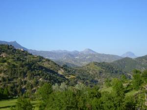 منظر طبيعي بضواحي بلدية دراع قبيلة -1