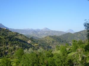 منظر طبيعي بضواحي بلدية دراع قبيلة -3