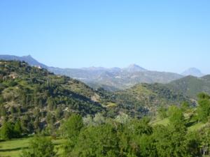 منظر طبيعي بضواحي بلدية دراع قبيلة -4