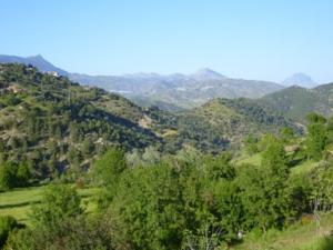 منظر طبيعي بضواحي بلدية دراع قبيلة -5