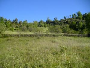 منظر طبيعي بضواحي بلدية دراع قبيلة -6