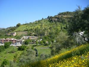 منظر طبيعي بضواحي بلدية دراع قبيلة -7