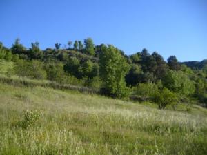 منظر طبيعي بضواحي بلدية دراع قبيلة -8