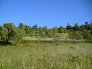 منظر طبيعي بضواحي بلدية دراع قبيلة -9