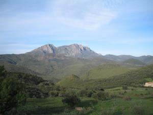 منظر طبيعي خلاب  بمنطقة  توجة