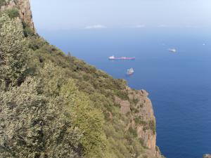 ساحل ولاية بجاية