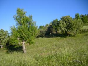 منظر خلاب بضواحي بلدية  دراع قبيلة