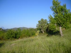 منظر خلاب بضواحي بلدية  دراع قبيلة  1