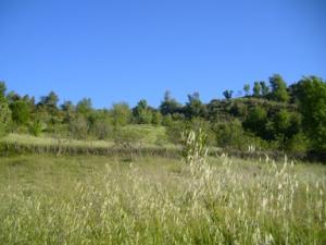 منظر خلاب بضواحي بلدية  دراع قبيلة  6