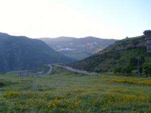 منظر خلاب بضواحي بلدية  دراع قبيلة  8